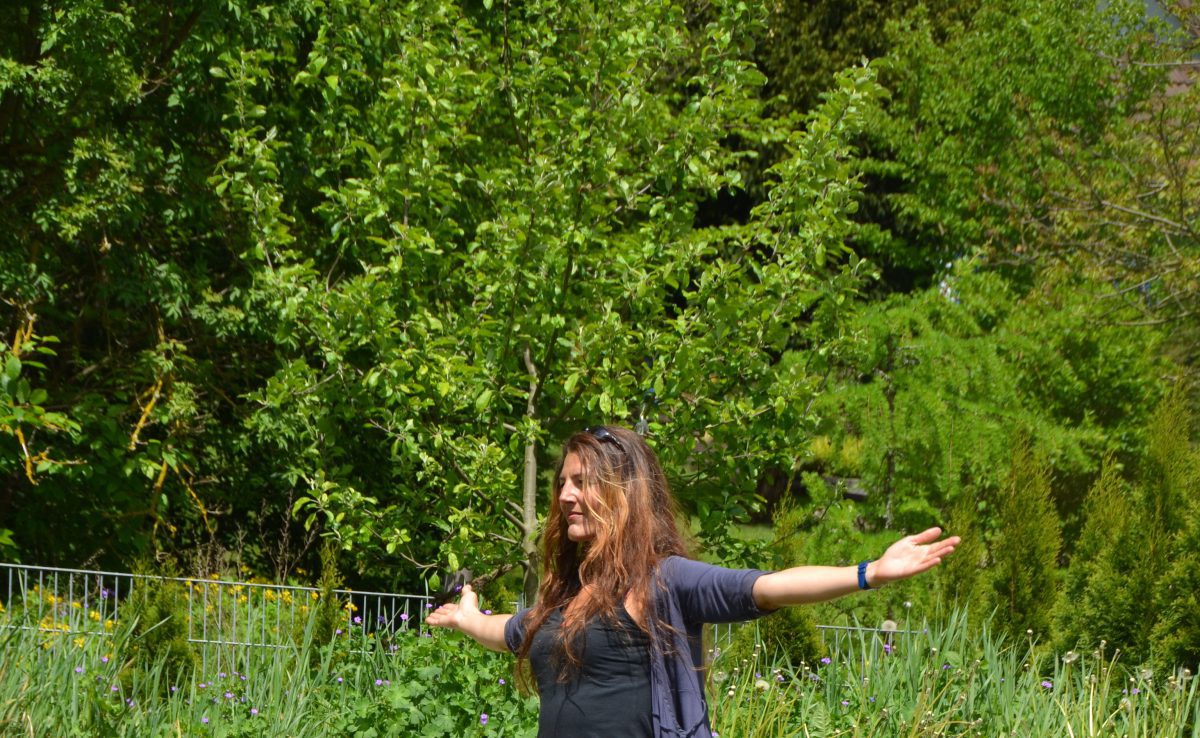 cropped-DSC_0062-e1462137589538.jpg